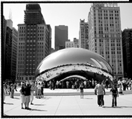 Chicago Draft Style Beverages