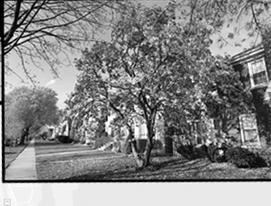 Chicago Draft Style Beverages