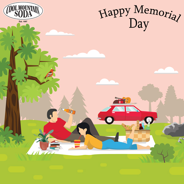 Premium Flavoured Sodas in USA