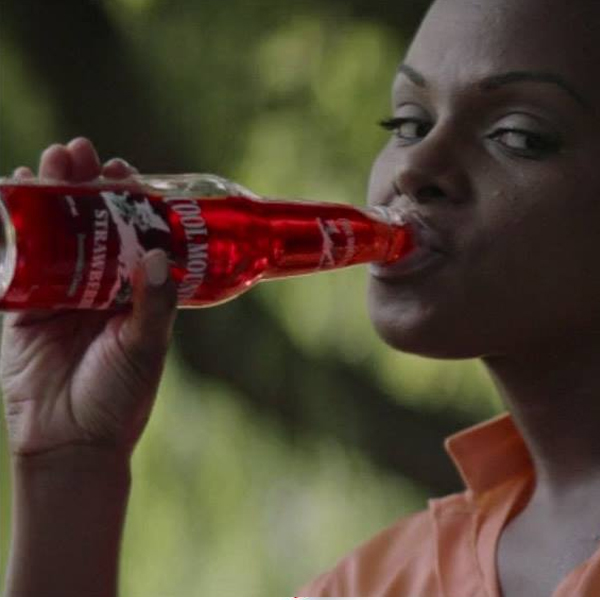 Buy Flavored Sodas Online USA